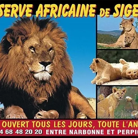 Vila Pavillon A 5min De La *